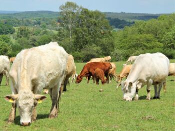 Biohof Peitz Klocksin