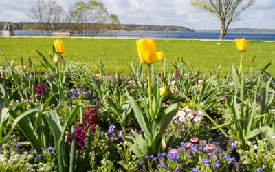Ausflug Heilbad Waren (Müritz)
