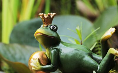 Veranstaltung Waren (Müritz)