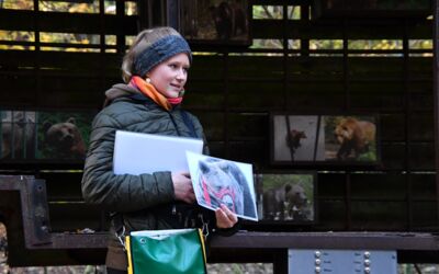 FSJ Bärenwald Stuer