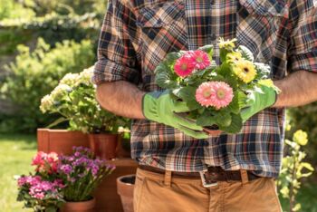 Forum Moderne Landwirtschaft