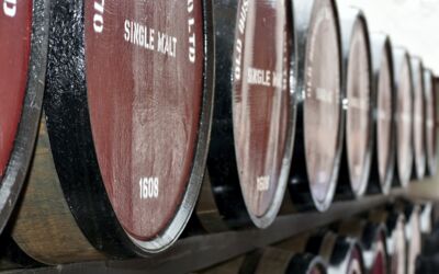 Sieger Programm „Neulandgewinner“