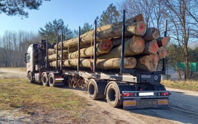 Verkehrskontrolle BAG B96