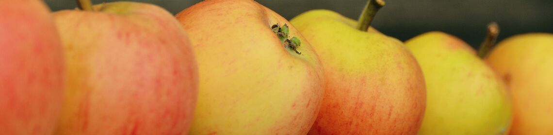 Veranstaltungen Waren (Müritz)