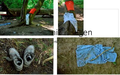 Einsatz Feuerwehr Neubrandenburg