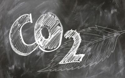 CO₂-Emissionen reduzieren mit dem CO₂-Rechner