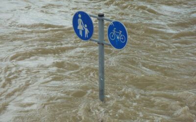 Hochwasserkatastrophe Elbe