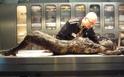 Mark Benecke Bakterien, Gerüche und Leichen