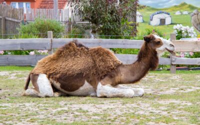 Grabowhöfe jetzt Tourismusort