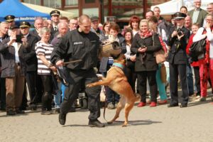 Polizei eröffnet die Bäderdienstsaison Waren (Müritz)
