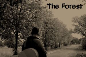 Eric Klein The Forest