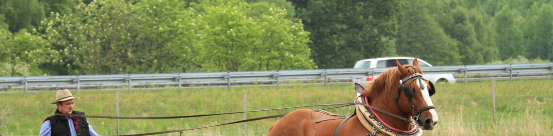 Veranstaltungen Alt Schwerin