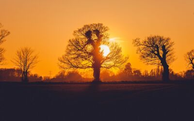 Sommerwetter an der Müritz