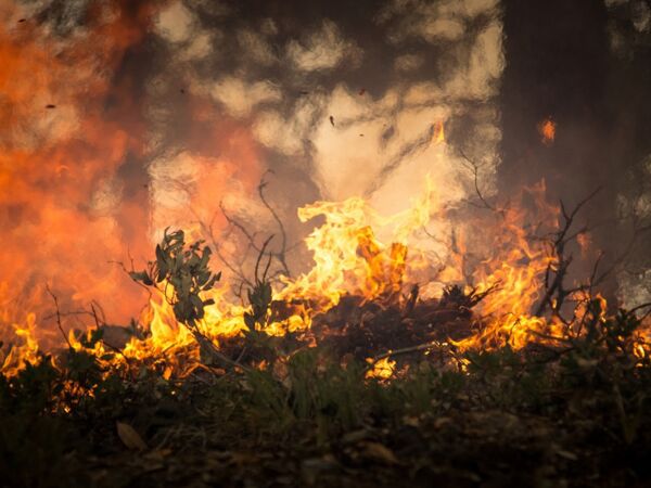 Waldbrandwarnstufe Mecklenburgische Seenplatte