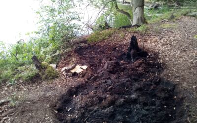 Feuer Müritz-Nationalpark