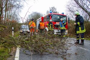 Bäume in Röbel/Müritz entwurzelt