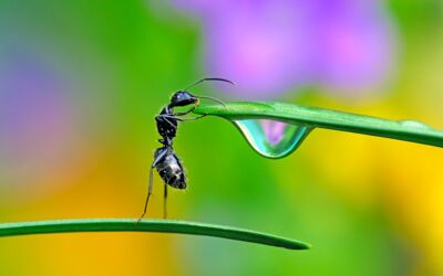 Veranstaltungen Waren (Müritz)