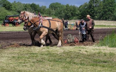 Veranstaltungen Alt Schwerin