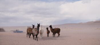 Veranstaltung in der Alten Kachelofenfabrik
