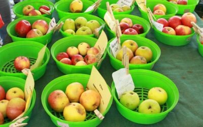 Obstanbau Mecklenburg-Vorpommern