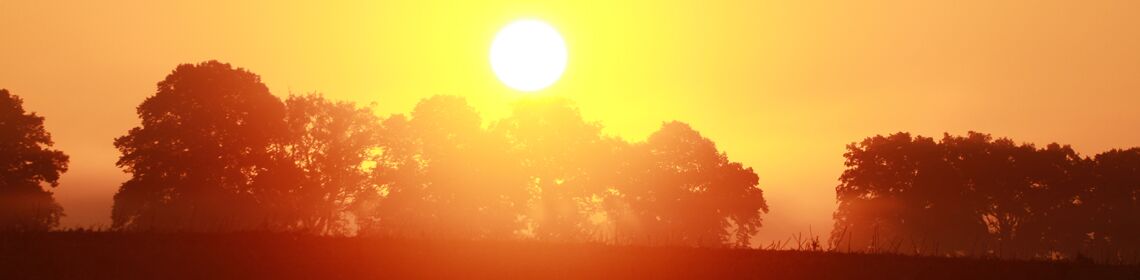 Fotomotive Mecklenburgische Seenplatte