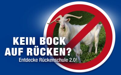 Bundesverbandes deutscher Rückenschulen (BdR) e.V.
