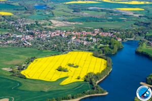 Luftbild Raps Mecklenburg