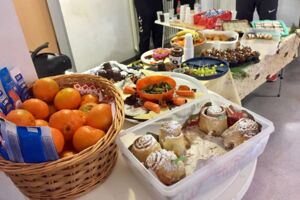 Handball Waren (Müritz)