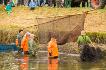 Abfischfest Boek Müritzfischer