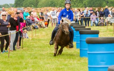 Ponysportverein Röbel/Müritz e V.