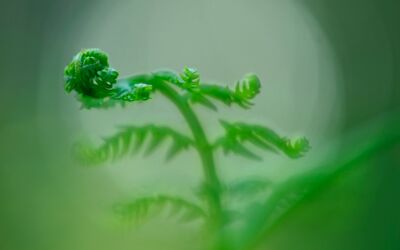 Naturaufnahmen im Müritzeum