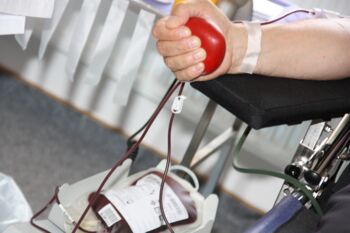 Blutspendetermine Mecklenburgische Seenplatte