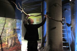 Öffnungszeiten im Müritzeum
