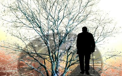 Ambulante Demenzbegleitung Mecklenburgische Seenplatte