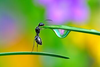 Veranstaltungen Waren (Müritz)