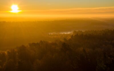 MiM – Mittwochs im Müritzeum