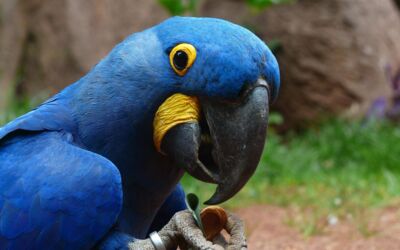 Öffnungszeiten Zoo Rostock
