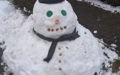 Glätteunfälle Mecklenburgische Seenplatte