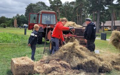 Veranstaltungen in Alt Schwerin