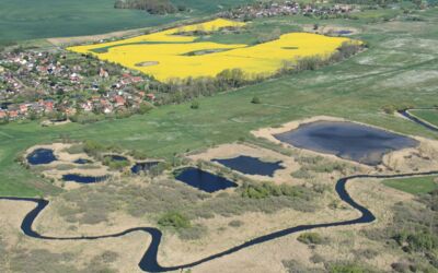 Luftbild Mecklenburgische Seenplatte