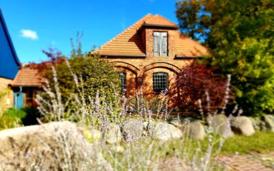 Restaurant Müritz-Nationalpark