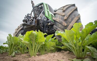 Biozucker Mecklenburg-Vorpommern