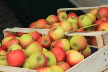 Veranstaltungen Waren (Müritz)