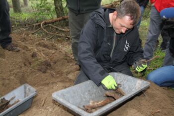 Ausstellung Waren (Müritz)