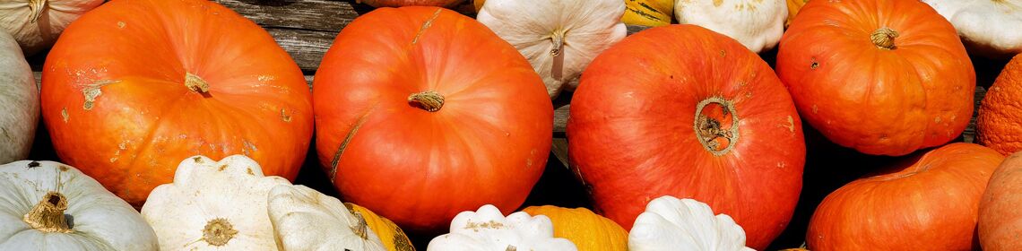 Erntefeste Müritzregion