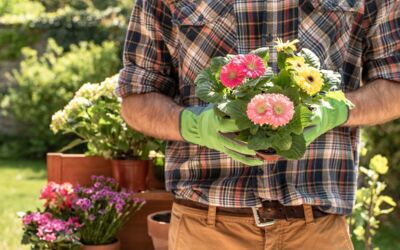 Forum Moderne Landwirtschaft