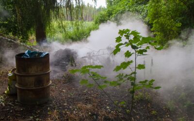 Unrat brennt im Waldstück