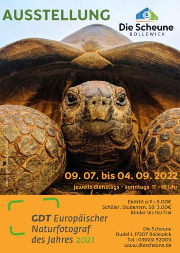 Veranstaltungen in Bollewick