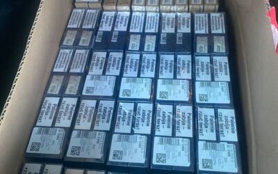 Zoll Meckenburg-Vorpommern