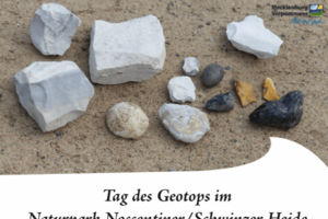 Tag des Geotops Nossentin
